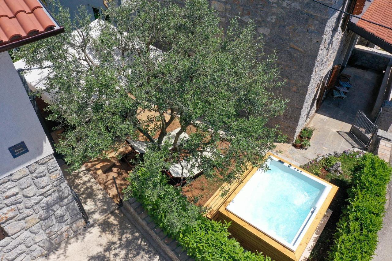Villa Fani With Jacuzzi Ičići Extérieur photo